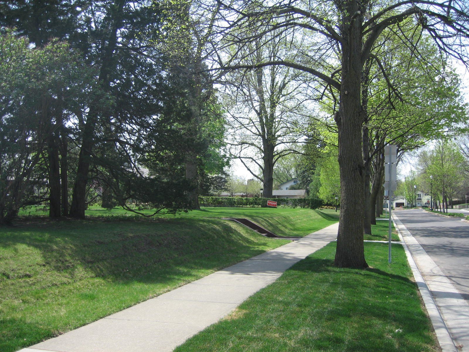 The walk and the trees