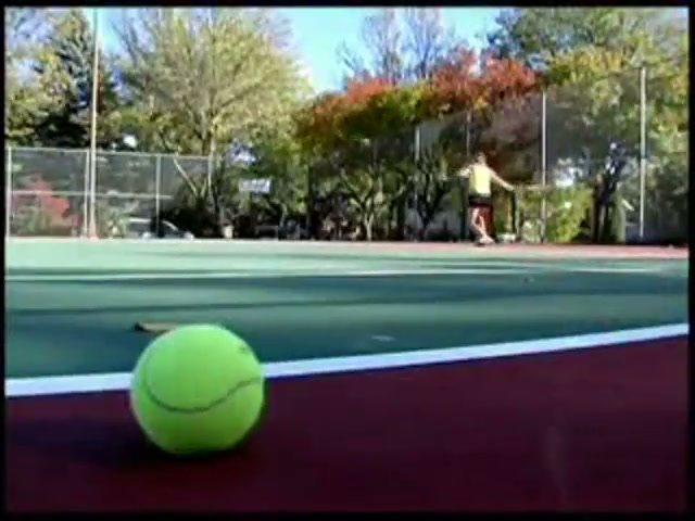 Tennis and basketball courts
