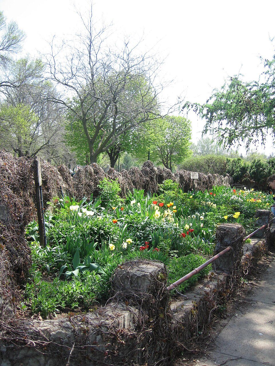 The sunken garden