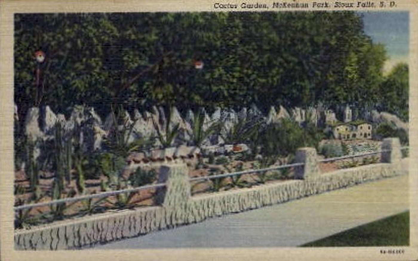 Postcard: The Cactus Garden